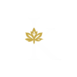 kashmiri saffron and kehwa